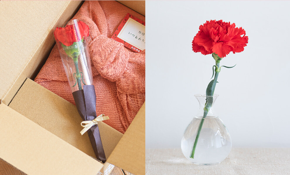 紀州南高梅を使用 石神邑オンラインショップ