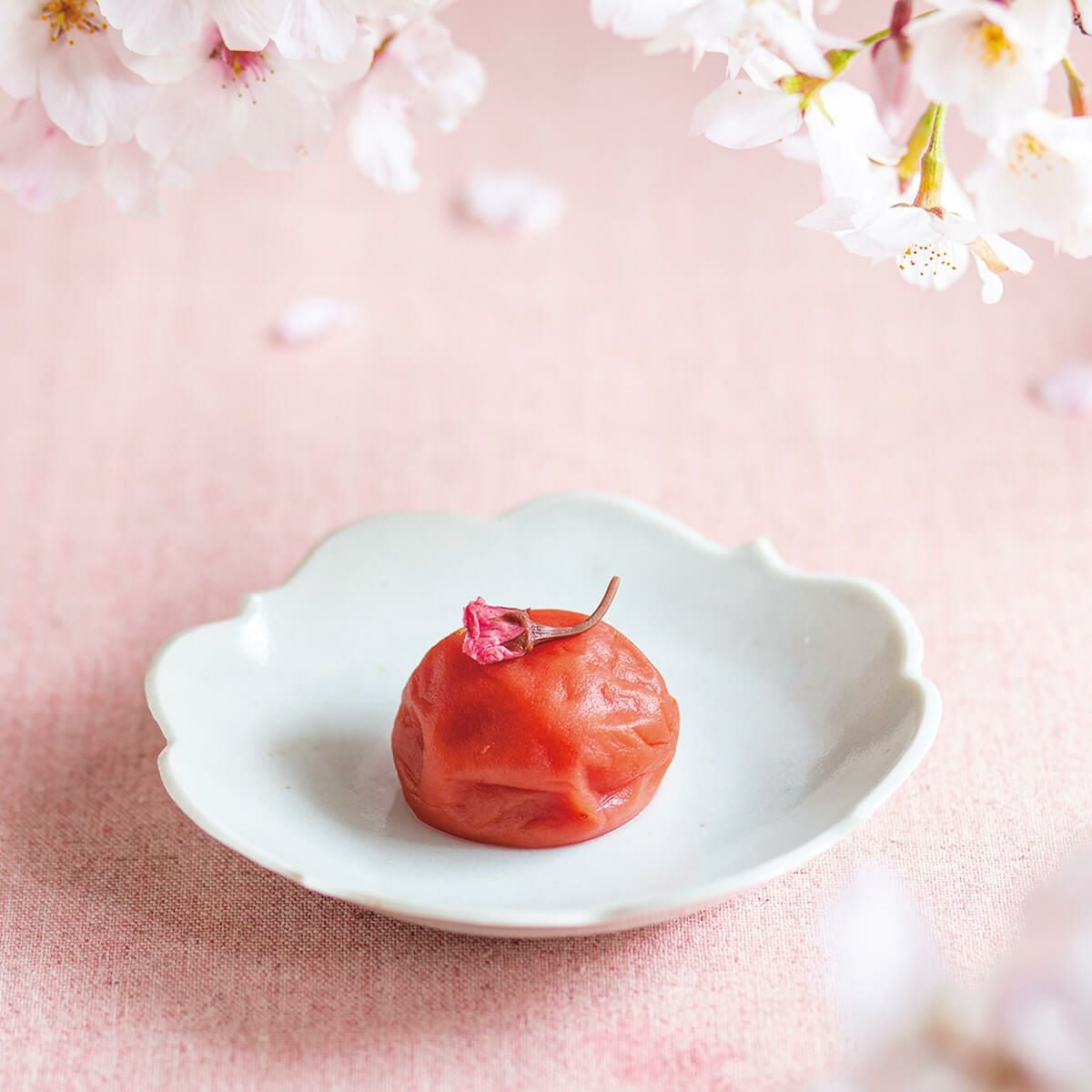  【春限定】春風の味 さくら乃 400g 木箱